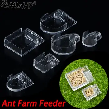 1PCS Akryl Ant Farmy Potravín Feeder Potravín Kŕmenie Priestor Pre Mravce Hniezdo Transparentné Vody Feeder Hmyzu Hniezda Domu domáce zvieratá